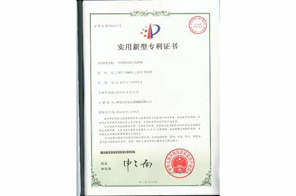 實用新型 (3)